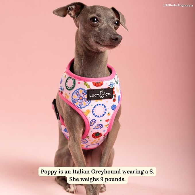 Lucy & Co. Dolce Vita Reversible Dog Harness, Adjustable Comfort Fit with Dual Leash Attachments, X-Large