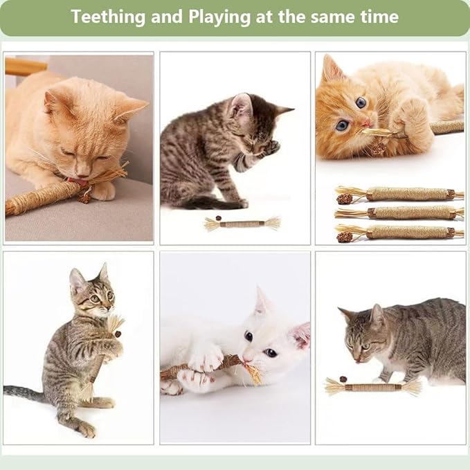 6 PCS Silvervine Sticks for Cats - Natural Cat Chew Toys for Teeth Cleaning, Kitten Teething & Aggressive Chewers