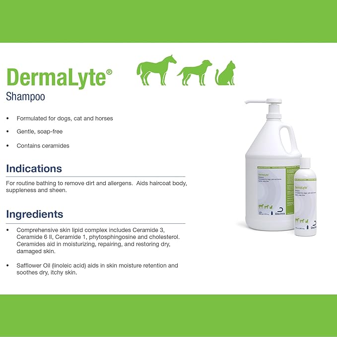 Shampoo, 12 Ounce (Pack of 2)