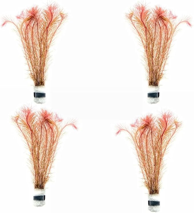 SubstrateSource Live Aquarium Red Stem Plants - Freshwater Aquatic Plant for Fish Tanks, Aquascaping - (Rotala Wallichii, 4 Bunches)