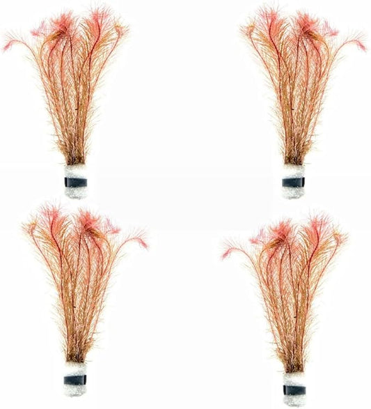 SubstrateSource Live Aquarium Red Stem Plants - Freshwater Aquatic Plant for Fish Tanks, Aquascaping - (Rotala Wallichii, 4 Bunches)