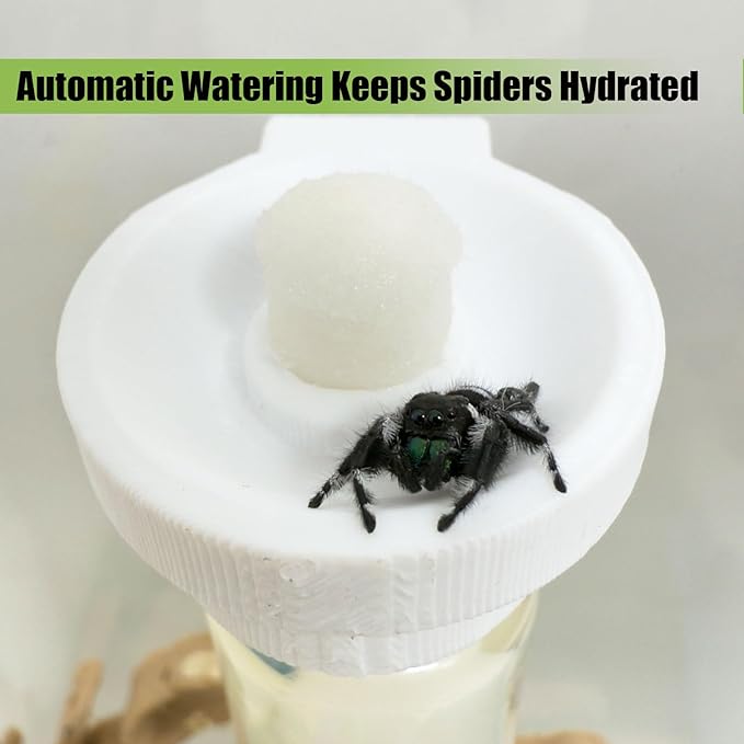 Jumping Spider Water Dispenser, Magnetic Hanging Feeder,Suitable for Jumping Spiders,Tarantulas, Praying Mantises,Arboreal Animals, and Other Small Animal Enclosure Accessories (White, 15ML)