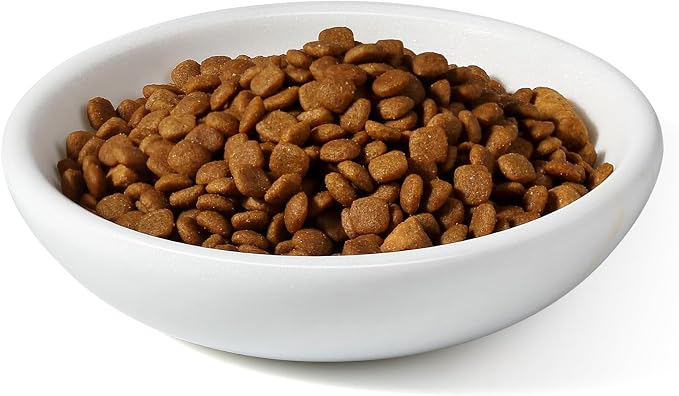 White Cat Bowl, Marble Food and Water Bowl for Cat and Small Dog, Heavyweight 1.5lb Non-Tip Pet Food Dish with Slip-Proof Pad, Premium Stone Feeder for Elegant Home Decor