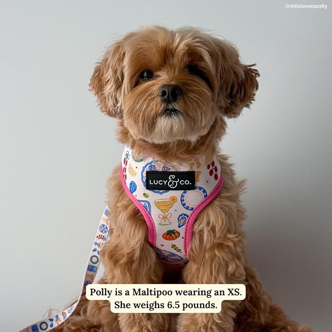 Lucy & Co. Dolce Vita Reversible Dog Harness, Adjustable Comfort Fit with Dual Leash Attachments, X-Large