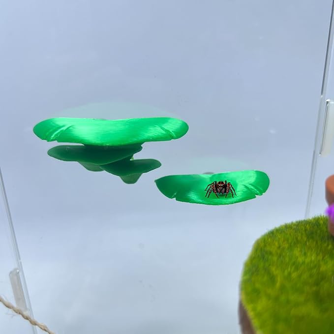 Jumping Spider Mushroom Shelf, Magnetically Concealed Jumping Spider Habitat,Serves As Enclosure Decorate Accessories for Spider Climbing Feeding and Platforms (Green)