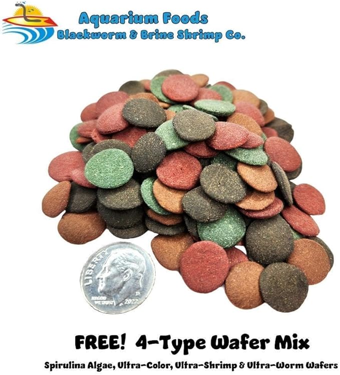 Aquatic Foods Inc. Freeze Dried California Blackworms with Plankton & Mysis Shrimp for Discus, Cichlids, All Tropical Fish. California Farmed & Freeze Dried, NOT Imported from Mexico…50 Grams