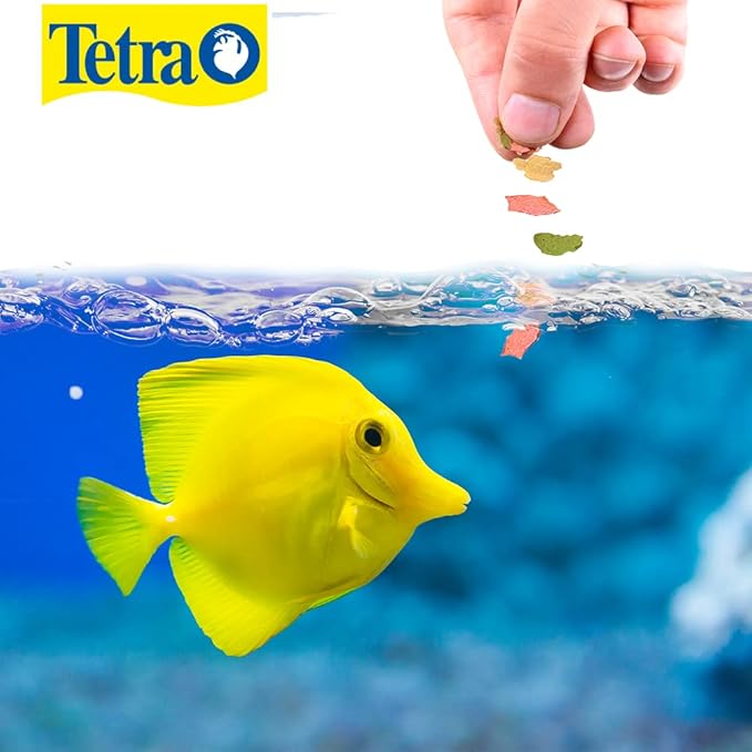 Tetra TetraMarine Large Saltwater Flakes, Nutritionally Balanced Fish Food for Saltwater Fish, 5.65 oz (Pack of 2)