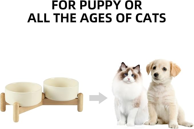 Havniva Elevated Dog Bowls Ceramic Dog Bowls with Stand, Dog Food Bowl | 5.1” Raised Dog Bowls with Non-Slip Wood Stand, Dog Food and Water Bowl Set, Double Dog Feeding Bowls for Small Dogs
