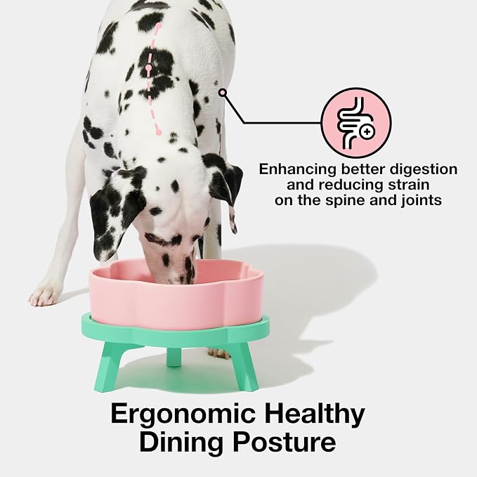 VETRESKA Elevated Dog Bowls Large Breed, 40 oz Ceramic Raised Dog Bowl | Flower-Shaped Food Water Bowl with Bamboo Stand, Feeding Dish Bowls for Medium/Large Dogs and Cats