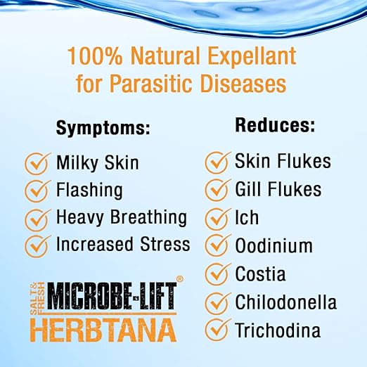 MICROBE-LIFT Herbtana Fish Medicine, Immune Booster and Parasite Treatment for Aquarium Fish Health, Ich Treatment, Use in Freshwater Tank or Saltwater Aquarium, 4 Ounces (HERB04)