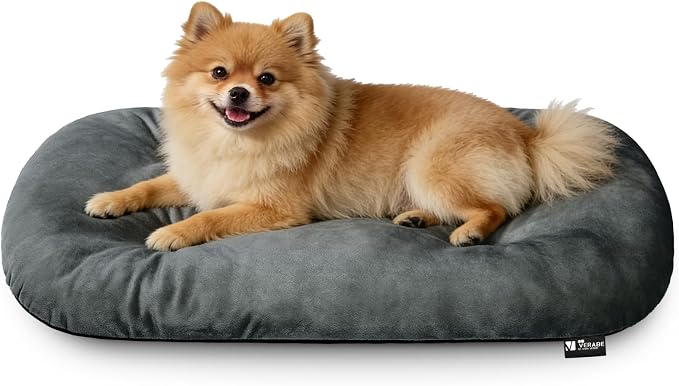 Washable Oval Small Dog Bed, Silver-Tipped High-Resilience, Dark Gray | Non-Slip Bottom Prevents Sliding,Soft Plush Short Fur,Machine Washable Cushion,Ideal for Crates & Small Spaces,23"x17"x2.8"