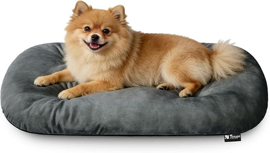 Washable Oval Small Dog Bed, Silver-Tipped High-Resilience, Dark Gray | Non-Slip Bottom Prevents Sliding,Soft Plush Short Fur,Machine Washable Cushion,Ideal for Crates & Small Spaces,23"x17"x2.8"