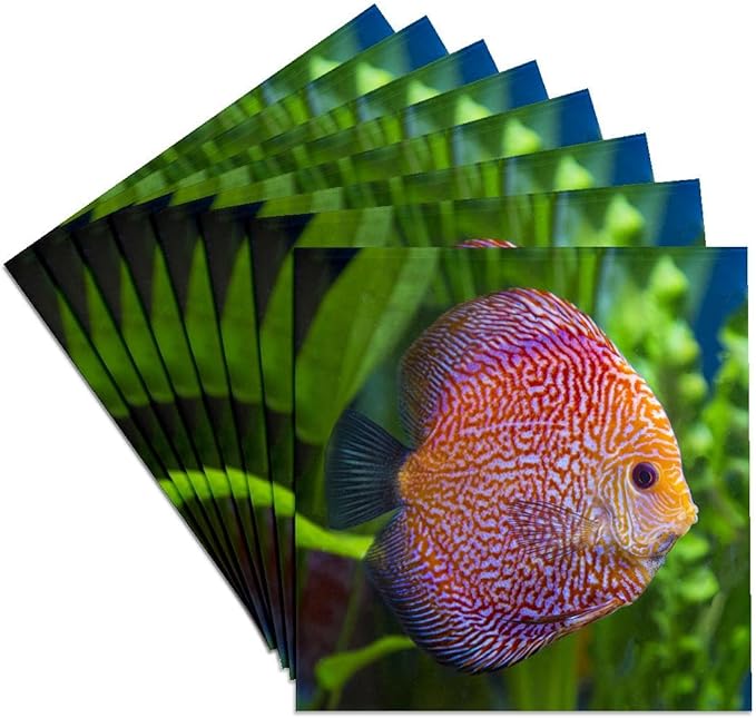 3dRose Super Pigeon Snakeskin Discus, Tropical Freshwater Fish. Set of 8 Ceramic Tile Coasters