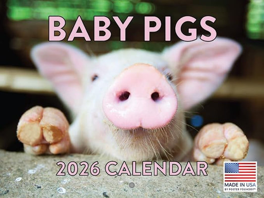 Baby Pig Calendar 2026 Wall 12 Month Piglet Gifts For Pigs Lovers Women Men Monthly Calender | American Made In The USA