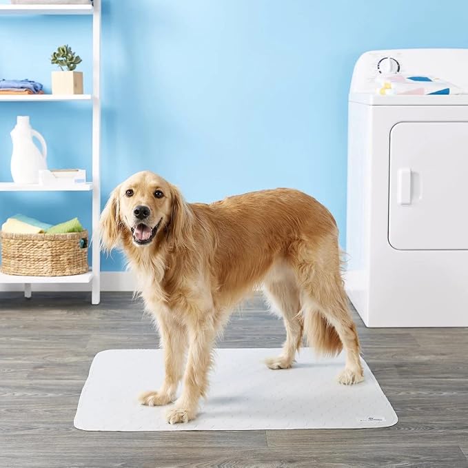 Pet Parents® Pawtect® Pads Washable Pee Pads for Dogs (2pack) of Premium Dog Pee Pads, Waterproof Puppy Pads & Reusable Dog Pads, Whelping Pads & Modern Pee Pads for Dogs (Tan/Grey, 34x36)