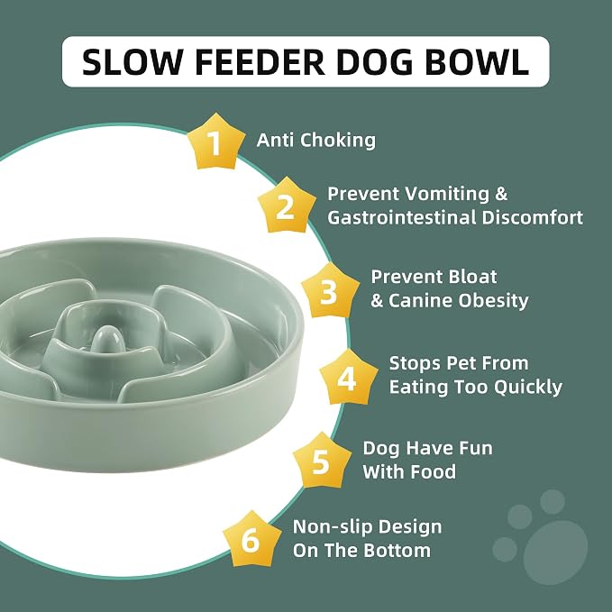 Havniva Dog Bowls Slow Feeder, Ceramic Slow Feeder Dog Bowls for Fast Eater | 1.2 Cups Dog Food Bowl Puzzle Feeder, Slow Feeding Bowls for Small & Medium Breed, Non-Slip Base, Anti-Choking