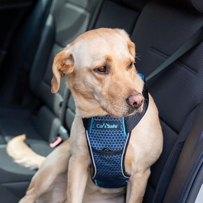 CarSafe Crash Tested Dog Safety Harness | Size L | Crash Tested to 32Kg/70lbs, Safely Secure Dog in the Car, Comfortable and Padded Design, for Toy, Small, Medium & Large Dogs