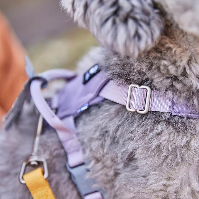 Hurtta Seeker Harness, Lavender, 22-28 in