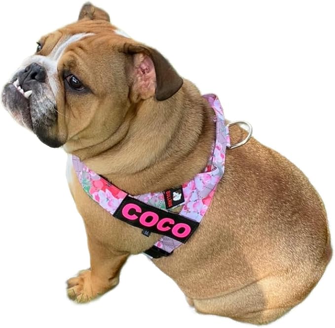Adjustable Dog Harness– No Pull, No Choke – for English Bulldogs, French Bulldogs, Pugs & Broad-Chested Breeds – Easy, Safe Walks (Pink Floral, Medium)