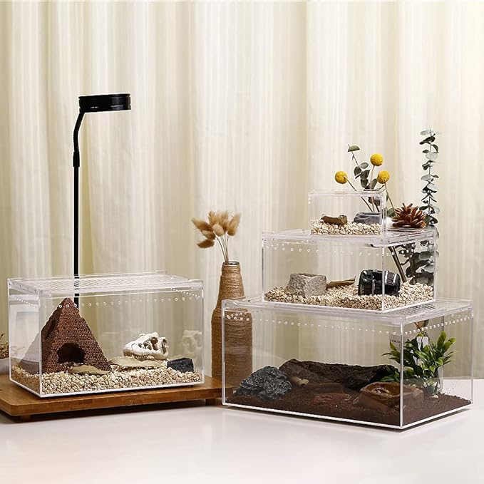 NANEEZOO Magnetic Acrylic Enclosure 10x6x6 Inch Tall Long Case Reptile Habitat Terrarium cage for Terrestrial Arboreal Tarantula Scorpion Sling Isopods Lizards Invertebrates Insect Mantis