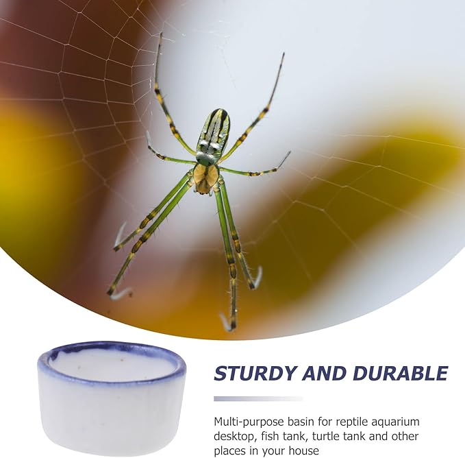 SHINEOFI 12pcs Small Ceramic Water Basins Reptile Tank Bowls Scorpion and Spider Drinking Containers Terrarium Feeding Bowls for Crawling Pets