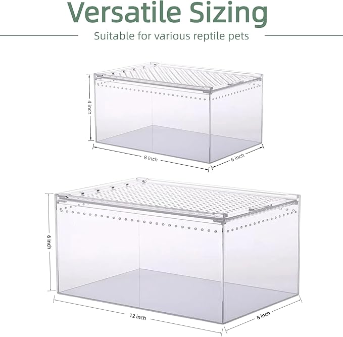 8x6x4 Inch Terrarium with Magnetic Top Sliding Lid, Clear View Critter Keeper & Spider Enclosure, Jumping Spider/Tarantula Habitat, Hermit Crab Tank, Tadpole to Frog Kit