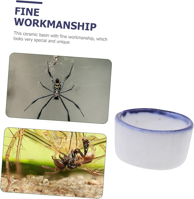 UKCOCO 36 Pcs Basin Mini Resin Animals Tarantula Enclosure Drink Containers Reptile Water Bowl Ceramic Pet Bowls Hamster Food and Water Bowl Mini Ceramic Bowl for Pet Water Feeder Sink