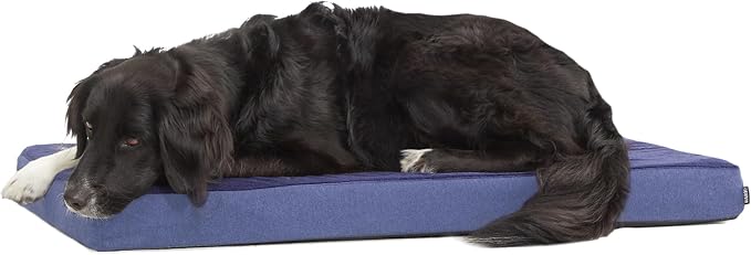 Barkbox Orthopedic Dog Bed with Memory Foam, Premium Comfort for Dogs and Puppies, Dog Bed for Joint Relief and Restful Sleep, Durable and Easy to Clean - Navy, Large | with Memory Foam - Comfortable, Durable & Machine Washable Pet Bed - Navy