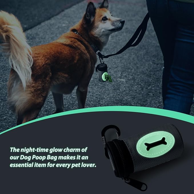 FURHAB Glow Dog Poop Bag Holder for Leash Doggie Waste Bag Dispenser Puppy Potty Carrier Small Doggy Zipper Pouch with Carabiner Clip 1680D Nylon Oxford with 1 Roll of Pet Trash Bags, Silver