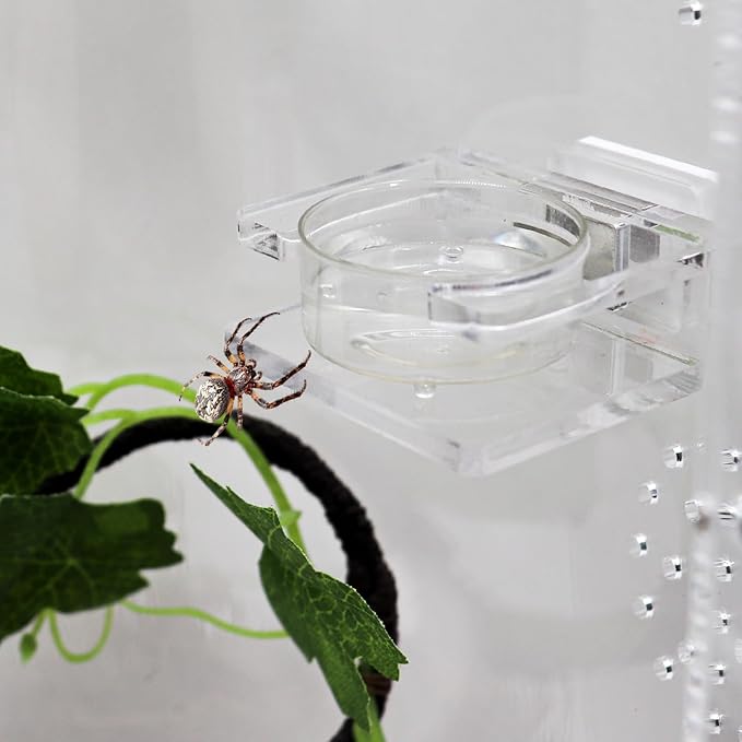 Jumping Spider Feeding Dish, Transparent Acrylic Magnetic Tiny Tarantula Food Bowl Water Dish, Enclosure Feeder Accessories for Jumping Spider Tarantula Small Spider - 2 × 1.8 Inch
