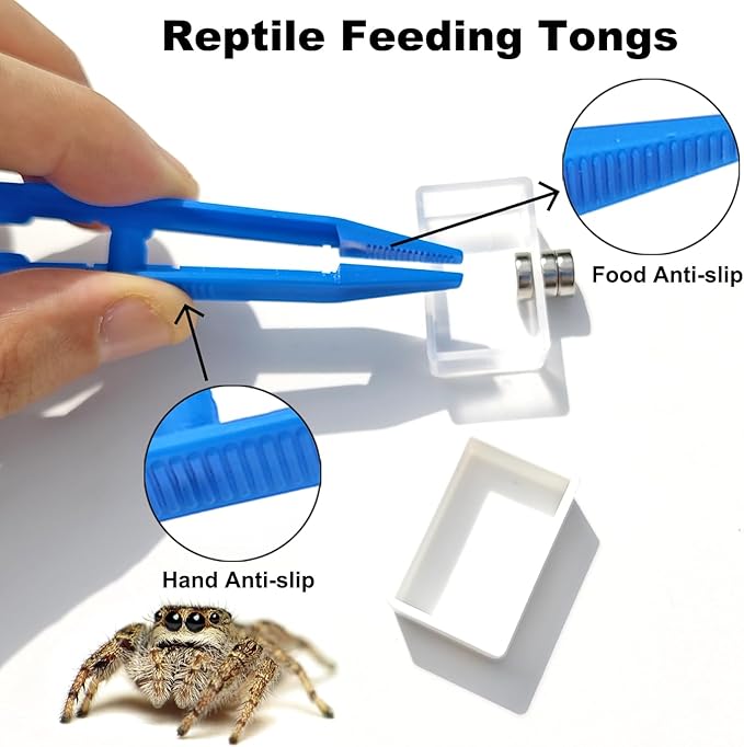 10 Pcs Jumping Spider Enclosure Kit, Magnetic Jumping Spider Feeding Dish, Mini Tarantula Water Dish, Tiny Reptile Feeding Tongs, Jumping Spider Accessories for Spoods and Other Small Pets