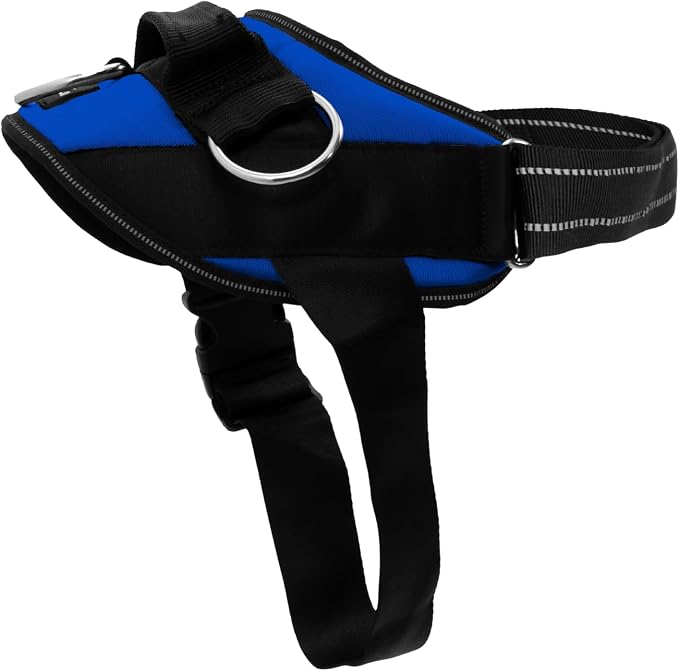 ShawnCo Essential Dog Harness, No-Pull Pet Vest (Electric Blue,M) | 3 Leash Clips, Easy On, No-Choke, Reflective, Adjustable Fit, Padded Comfort, Control Handle, For Small, Medium & Large Dogs