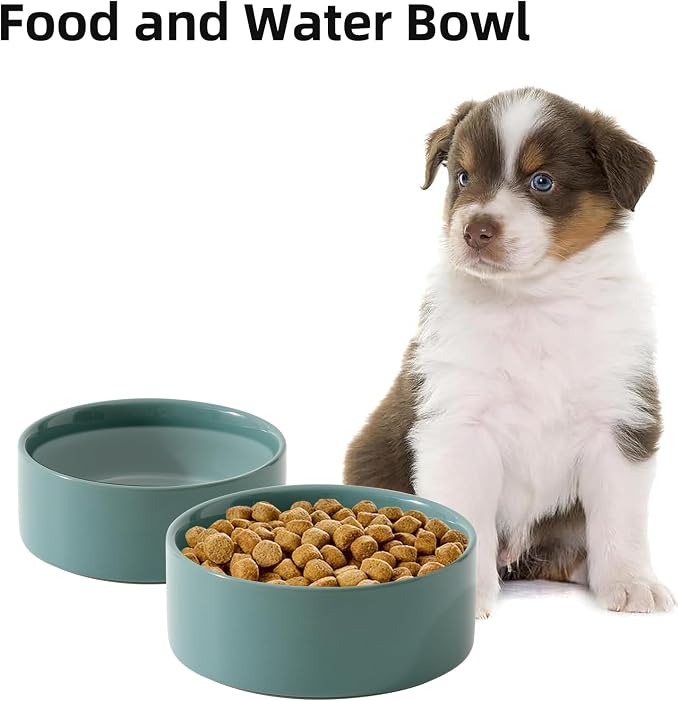 Havniva Cat Bowls Set of Two, 6.1” Ceramic Cat Food and Water Bowls | Cat Food Bowls Whisker Friendly, Non-Slip Base, Food-Grade Ceramic, Wide Opening, Dishwasher Safe, Cat Bowls for Indoor Cats