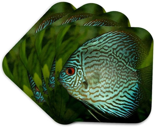 3dRose Blue Exotic Discus Fish Set of 4 Coasters - Cork