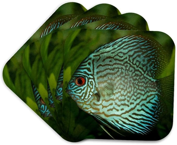 3dRose Blue Exotic Discus Fish Set of 4 Coasters - Soft
