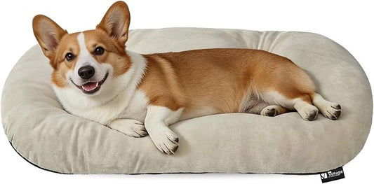 Washable Oval Dog Bedfor Medium Dogs,Silver-Tipped High-Resilience,Beige | Non-Slip Bottom Prevents Sliding, Soft Plush Short Fur, Machine Washable, Ideal for Crates/Apartments/Cozy Nooks,29"x18"x2.8"