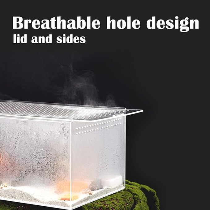Small Acrylic Tarantula Enclosure Terrarium with Magnetic Button,8 * 4 * 4inch Thicken Isopod Enclosure,Spider Cage,Terrarium for Reptiles,Lizard,Juvenile Tarantulas