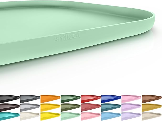 SMILOOL Waterproof Silicone Pet Food Mat with Raised Edge for Dog & Cat | 24" x 16" Non-Slip Pet Feeding Mats with Lip for Food & Water Bowl, Food Grade, Easy Cleaning, Mint Green