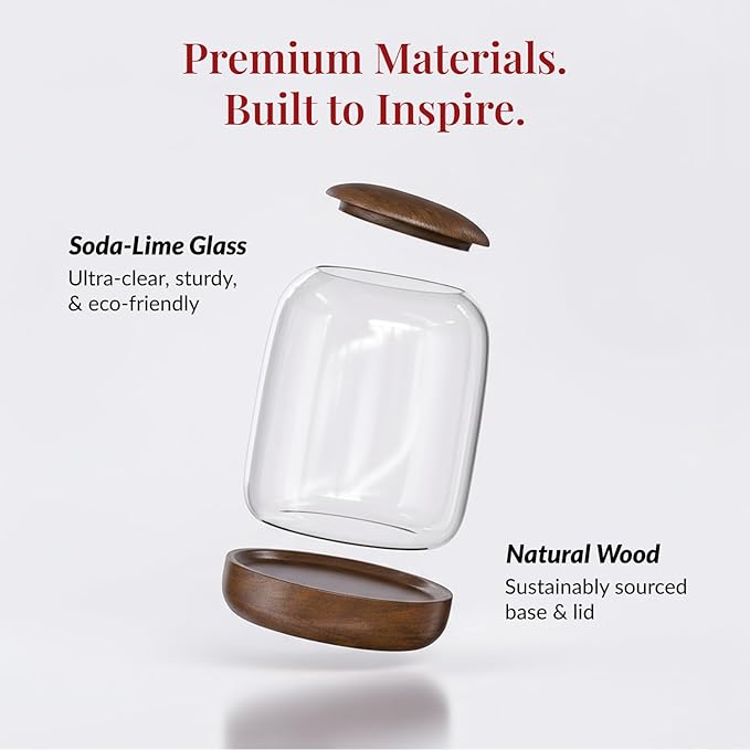 Exclusive Glass Terrarium, Beautifully Enhanced by a Natural Wood lid and Base. Excellent for Plants and Decoration, for Home or Office: Size: 8.7" Tall (22 cm) by 6.3" Wide (16 cm)