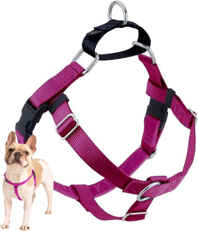 2 Hounds Design Freedom No Pull Dog Harness, 5/8 inch MD, Raspberry | Discourages Pulling, Comfortable Control Adjustable Dog Harness for Medium Sized Dogs, Made in USA (Leash Not Included)