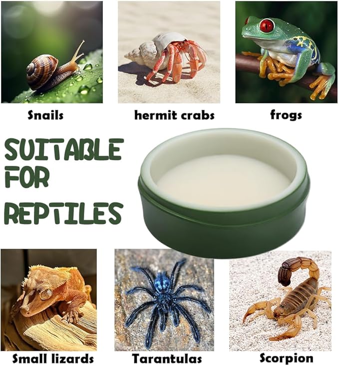 2 Pcs Snail Water and Food Bowl Hermit Crab Feeding Dish for Snail Crab Millipede Frog Tarantula Small Reptile