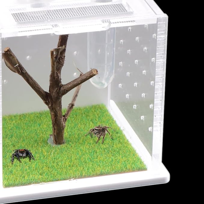 Spider Acrylic Breeding Box, Tarantula Transparent Terrarium, Jumping Spider Feeding Box, Insect Habitat Hatching Container Cage