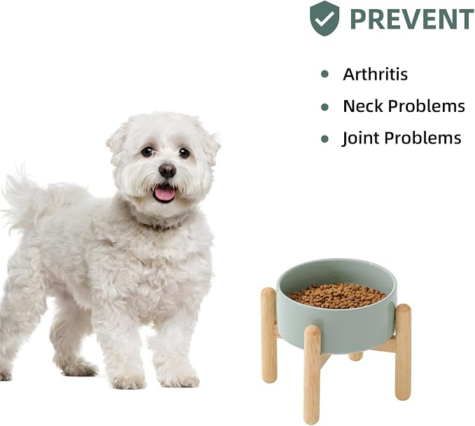 Havniva Elevated Dog Bowls Ceramic Dog Bowls with Stand, Dog Food Bowl | 6.1” Raised Dog Bowls with Non-Slip Wood Stand, Dog Food and Water Bowl Set, Dog Feeding Bowls for Small & Medium Dogs