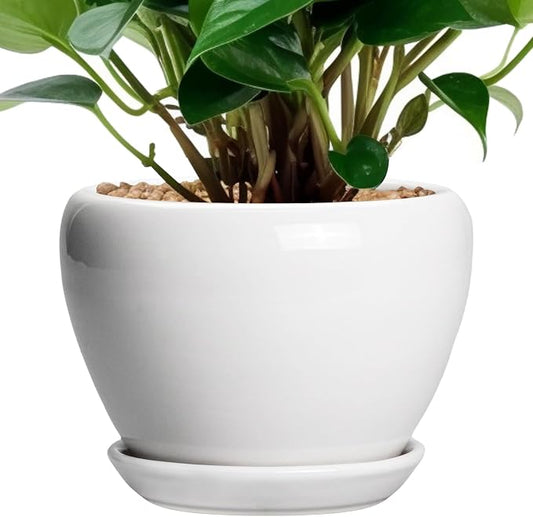Ceramicfor Ceramic Pot for Plants - 6 Inch Plant Pot for Succulent Plants, Glaze Modern Round Planter with Drainage Hole and Saucer, Gifts for Plant Lovers, Home Office Patio Room Decor, White