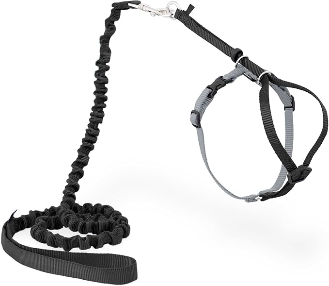PetSafe Come with Me Kitty Harness and Bungee Cat Leash, Black, Small | Adjustable 2-Point Fit Applies Gentle Pressure to Shoulders, Not Neck, for Kittens and Small Cats with 9 in - 11 in Girth