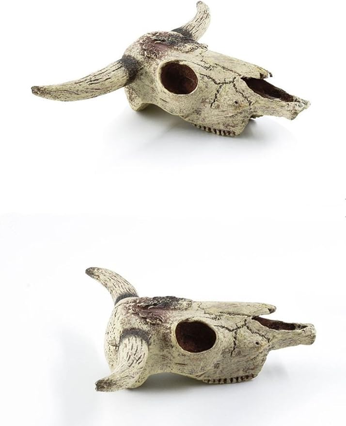 Leoyoubei Aquarium Decoration, Fish Tank Small Skull,Fish Turtle Hidden, Bonsai beautification. Cave Landscape Pet Reptile House Shrimps & Snails Love Them (Cattle Skull)