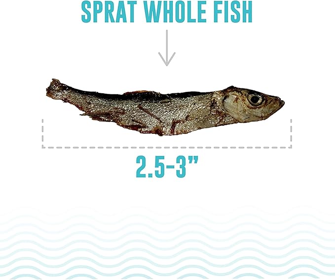Icelandic+ Whole Fish: Sprat - 2oz Bag - Dog Treats, Wild- Caught, 2.5-3" Crunchy Air-Dried Pet Snacks, Single Ingredient, Just The Fish Nothing Else
