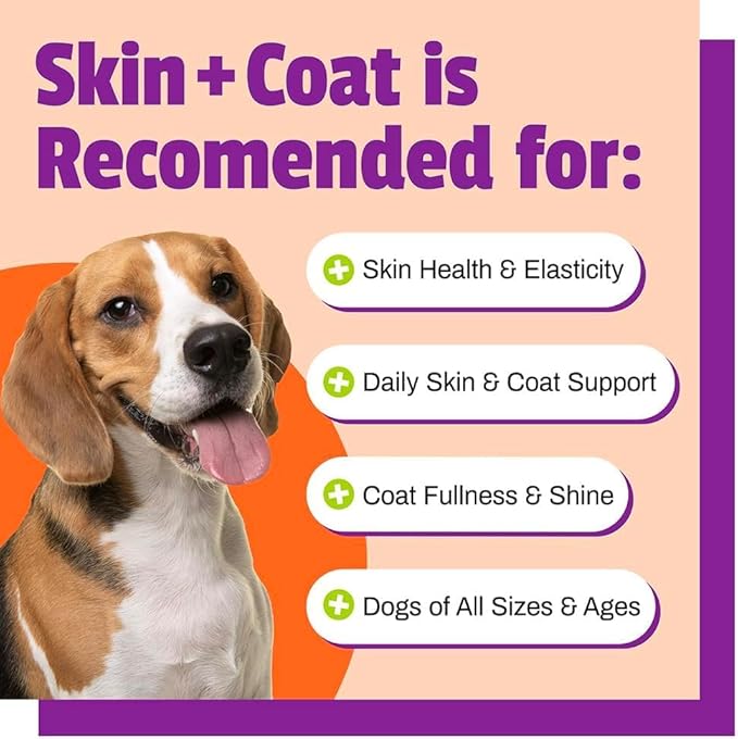 Pet Naturals Skin and Coat for Dogs, Bite-Sized Soft Chews, Salmon Oil and Omega Fatty Acids, Soothe Dry and Itchy Skin, No Corn or Wheat, Vet Formulated, Veggie Flavor, 30 Count