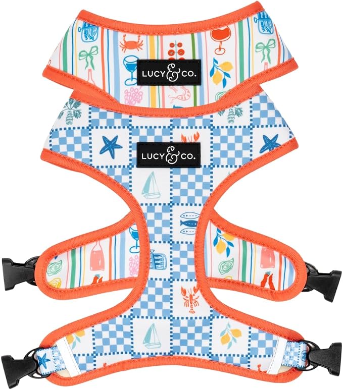 Lucy & Co. Sunny in Sicily Reversible Dog Harness, Adjustable Comfort Fit with Dual Leash Attachments, Medium