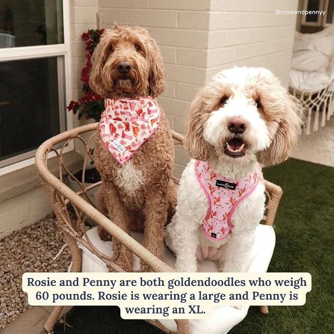 Lucy & Co. Reversible Dog Harness - Water-Repellent Neoprene, Dual-Print Design, Easy Swap Style, Adjustable Comfort Fit - Howdy Honey Reversible Harness - Large